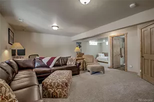 750 Miners Way, Fairplay, CO 80440 - Photo 23