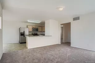 18649 E 46th Pl, Denver, CO 80249 - Photo 9