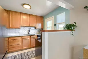 3070 Jasmine, Denver, CO 80207 - Photo 9
