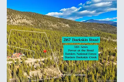 2167 Buckskin Road, Alma, CO 80420 - Photo 1