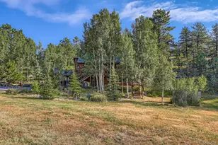 42 Catamount Ridge Rd, Bailey, CO 80421 - Photo 17