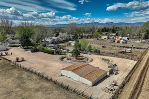 11377 Billings Ave, Lafayette, CO 80026 - Photo 5