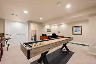 9038 Hunters Way, Highlands Ranch, CO 80129 - Photo 41