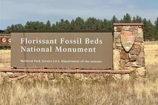 109 Garnet Way, Florissant, CO 80816 - Photo 37