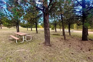 109 Garnet Way, Florissant, CO 80816 - Photo 39