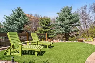 1445 Black Pine Ct, Castle Rock, CO 80104 - Photo 41