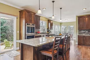 1445 Black Pine Ct, Castle Rock, CO 80104 - Photo 17