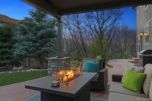 1445 Black Pine Ct, Castle Rock, CO 80104 - Photo 5