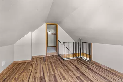 350 Spring Street, Central City, CO 80427 - Photo 31