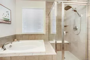 1140 Preble Ct, Castle Rock, CO 80104 - Photo 19