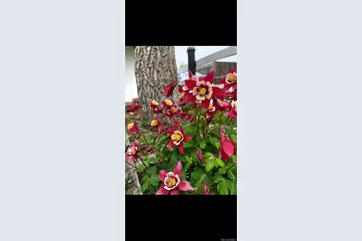 6750 Irving Street, Denver, CO 80221 - Photo 27