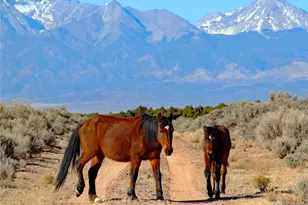 Parcel 40 Alta Mesa Dr, San Luis, CO 81152 - Photo 1