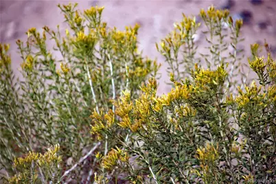 Parcel 40 Alta Mesa Drive, San Luis, CO 81152 - Photo 19