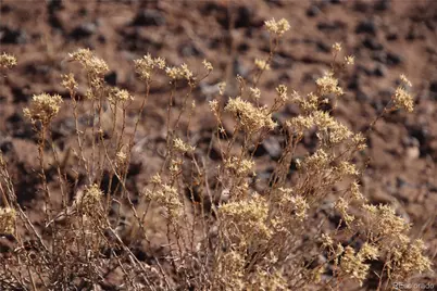 Parcel 40 Alta Mesa Drive, San Luis, CO 81152 - Photo 15