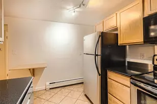 1045 N Clarkson St, Denver, CO 80218 - Photo 7