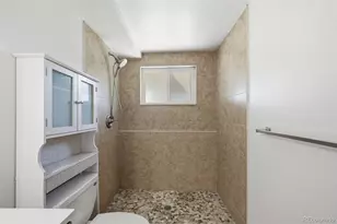 448 Neptune Ct, Lone Tree, CO 80124 - Photo 35