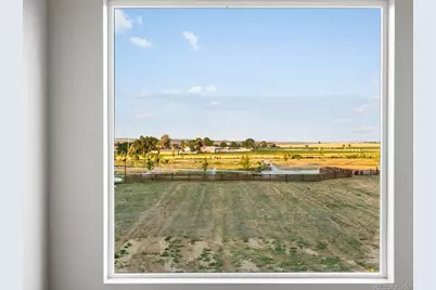 4684 Rabbitbrush Street, Johnstown, CO 80534 - Photo 41