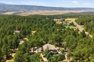 1614 Gore Dr, Larkspur, CO 80118 - Photo 43