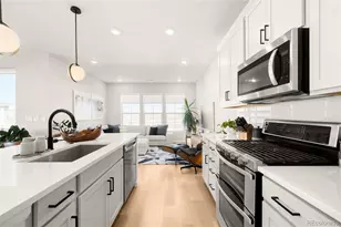 7910 Sterling Ranch Ave, Littleton, CO 80125 - Photo 11