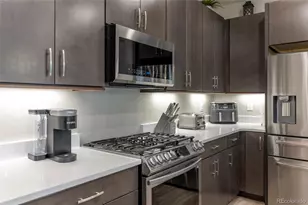 3198 Ireland Moss St, Castle Rock, CO 80109 - Photo 15