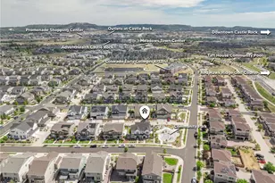 3198 Ireland Moss St, Castle Rock, CO 80109 - Photo 49