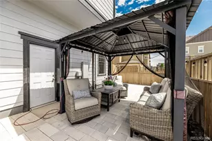 3198 Ireland Moss St, Castle Rock, CO 80109 - Photo 37