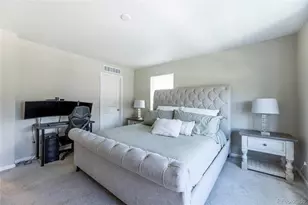 3198 Ireland Moss St, Castle Rock, CO 80109 - Photo 27