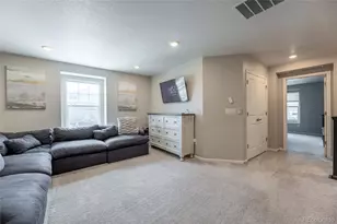 3198 Ireland Moss St, Castle Rock, CO 80109 - Photo 23