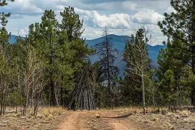 75 York Court #11, Jefferson, CO 80456 - Photo 17