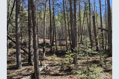 3375 Purnell Lane, Fort Garland, CO 81133 - Photo 3