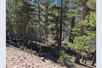 3375 Purnell Lane, Fort Garland, CO 81133 - Photo 5