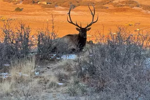 3707 Eveningglow Way, Castle Rock, CO 80104 - Photo 45