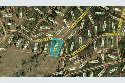 1129 Laker Lane, Fort Garland, CO 81133 - Photo 7