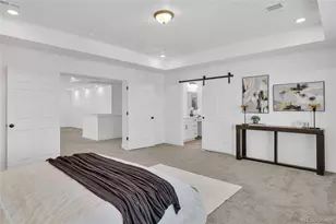 20750 Beekman Pl, Denver, CO 80249 - Photo 23