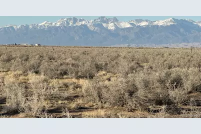 #41 Mustang Ranch, Alamosa, CO 81101 - Photo 9