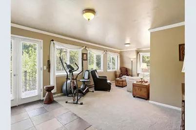 410 E Idaho Springs Road, Idaho Springs, CO 80452 - Photo 13