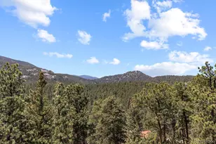 77 Gi-Gi Ln, Evergreen, CO 80439 - Photo 37
