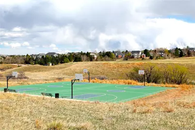 551 Seth Place, Castle Pines, CO 80108 - Photo 13