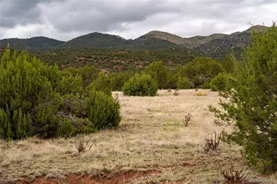4 Lot Iron Handle Road, Penrose, CO 81240 - Photo 9