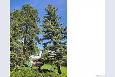 4148 Timbervale Drive, Evergreen, CO 80439 - Photo 39