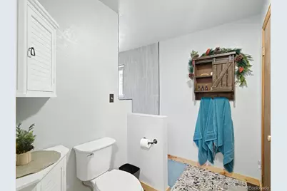 46 Bay Lane, Bailey, CO 80421 - Photo 27