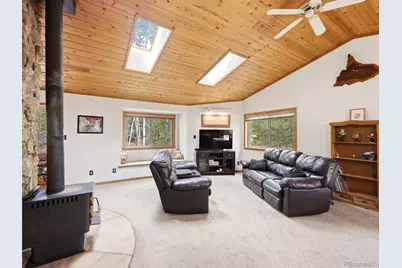 46 Bay Lane, Bailey, CO 80421 - Photo 37