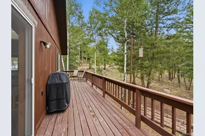 46 Bay Lane, Bailey, CO 80421 - Photo 13