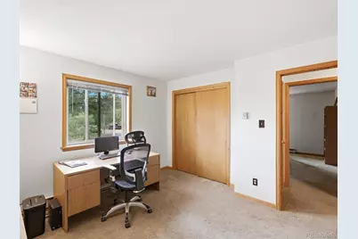 46 Bay Lane, Bailey, CO 80421 - Photo 21