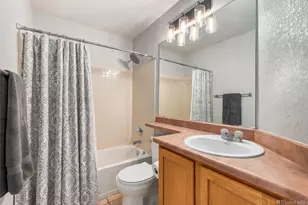 1494 Nemrick Pl, Castle Rock, CO 80109 - Photo 27