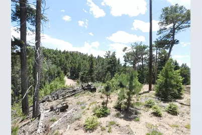 13670 Spruce Creek Circle, Larkspur, CO 80118 - Photo 15