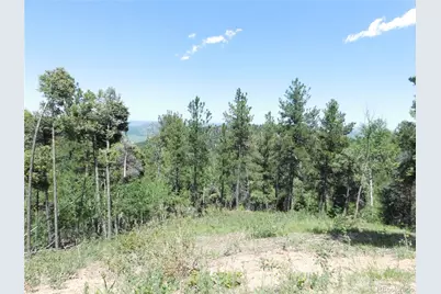 13670 Spruce Creek Circle, Larkspur, CO 80118 - Photo 7