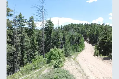 13670 Spruce Creek Circle, Larkspur, CO 80118 - Photo 17