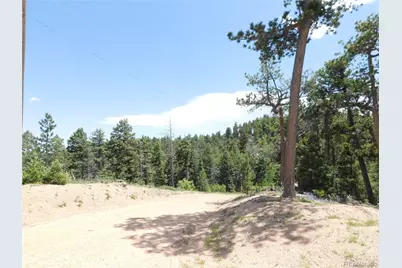 13670 Spruce Creek Circle, Larkspur, CO 80118 - Photo 21