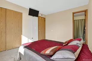 281 S Zinnia Way, Denver, CO 80228 - Photo 9